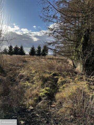 Działka budowlana Rurzyca, ul. Skryta. Zdjęcie 1