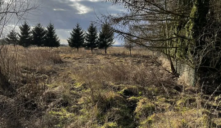 Działka budowlana Rurzyca, ul. Skryta