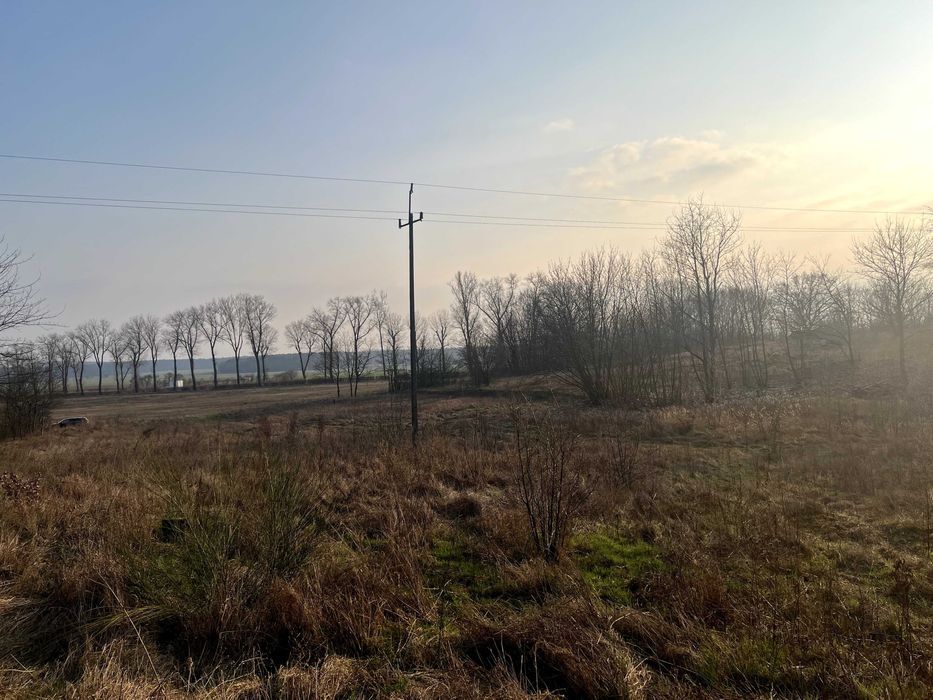 Działka budowlana Drzeniów. Zdjęcie 6