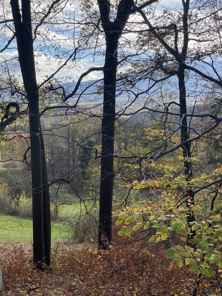 Działka rolno-budowlana Staniszów. Zdjęcie 4