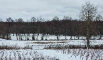 Działka rolno-budowlana Pąchy