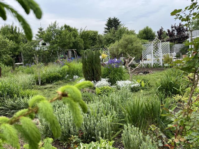 Działka rod Włocławek Południe , ul. Jastrzębia. Zdjęcie 7