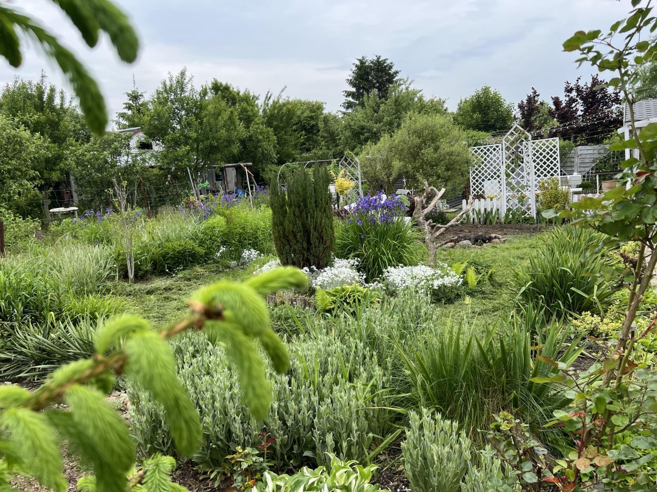 Działka rod Włocławek Południe , ul. Jastrzębia. Zdjęcie 7