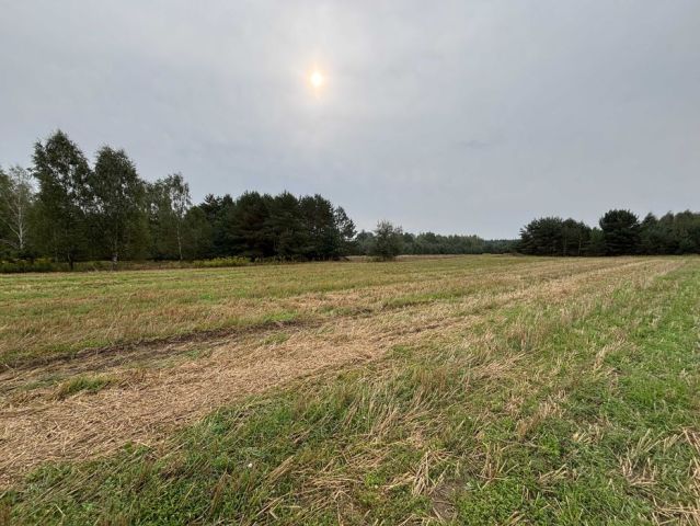 Działka budowlana Teodorów. Zdjęcie 1