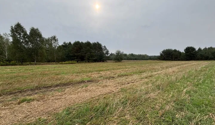 Działka budowlana Teodorów