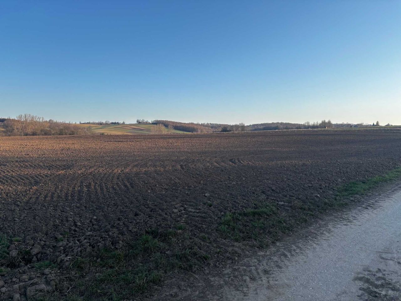 Działka rolno-budowlana Paśmiechy. Zdjęcie 6