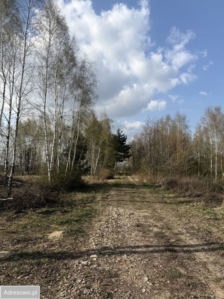 Działka budowlana Leonardów. Zdjęcie 5