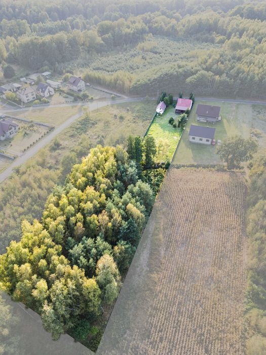 Działka siedliskowa Węglewice. Zdjęcie 7