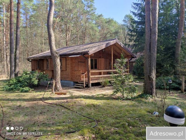 Działka budowlana Radiówek, Radiówek. Zdjęcie 1