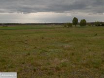 Działka Guty. Zdjęcie 2