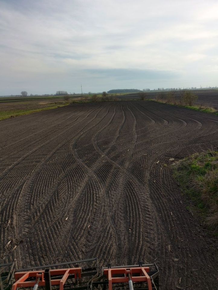 Działka budowlana Bełszewo-Kolonia. Zdjęcie 2