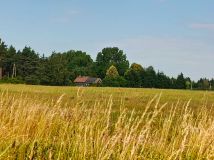 Działka budowlana Kalina. Zdjęcie 2