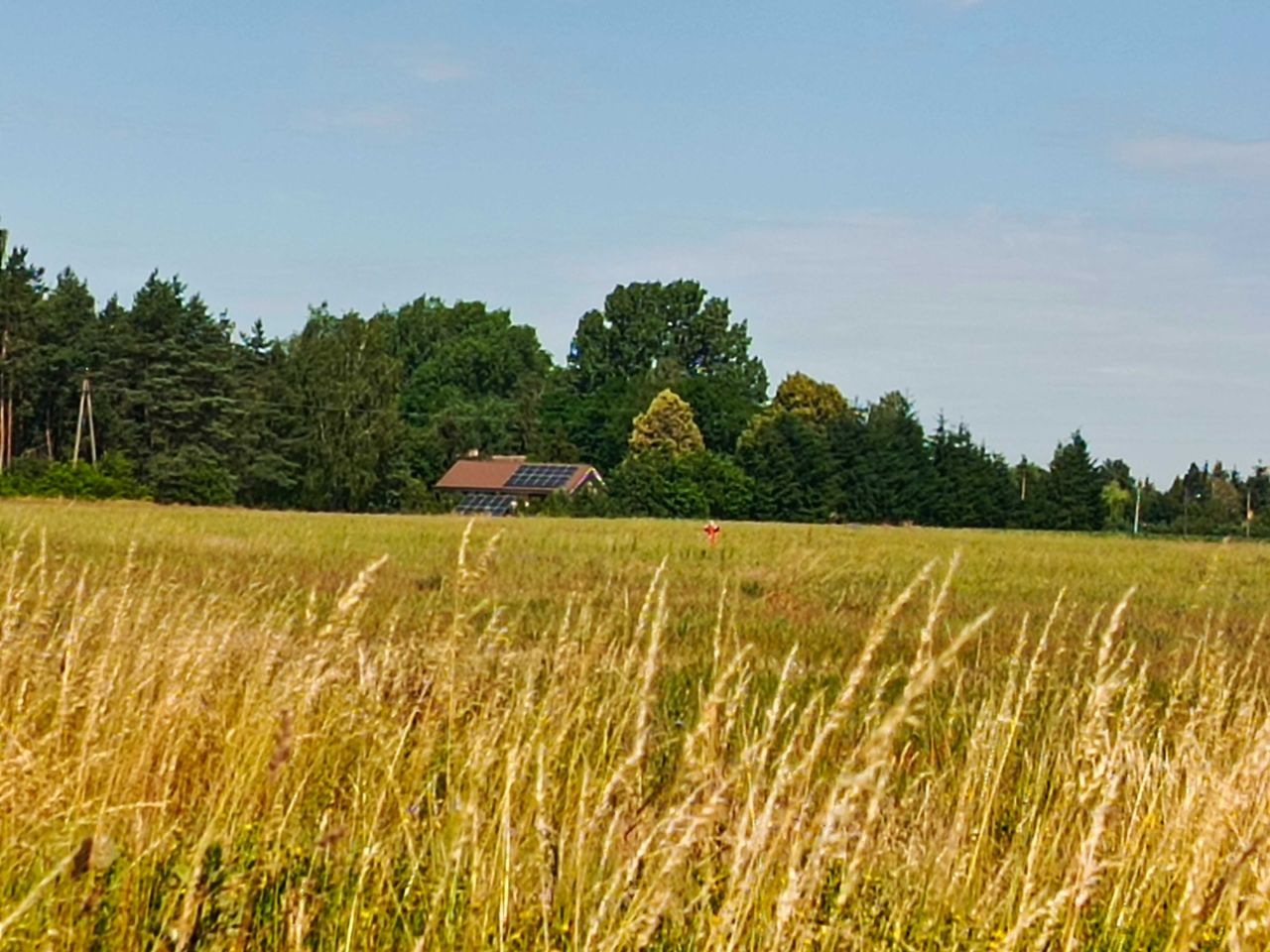 Działka budowlana Kalina. Zdjęcie 3