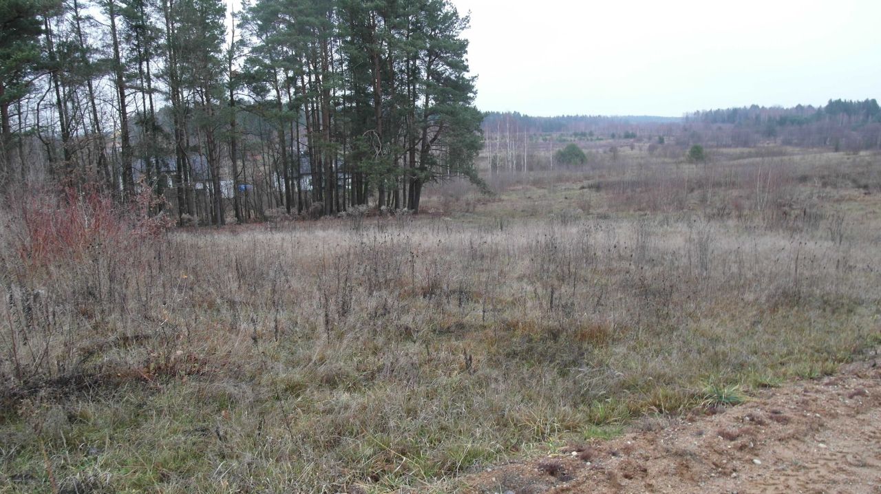 Działka budowlana Karakule. Zdjęcie 5