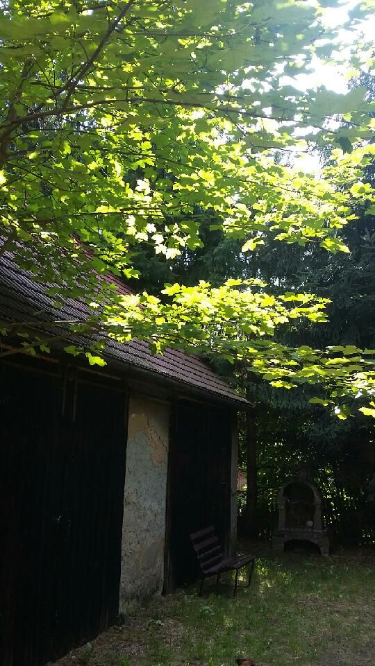 inny, 5 pokoi Sady Górne, Sady Górne. Zdjęcie 15