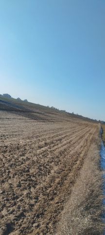 Działka rolno-budowlana Dys, ul. Wiśniowa. Zdjęcie 1