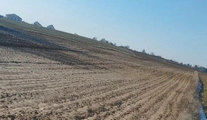 Działka rolno-budowlana Dys, ul. Wiśniowa