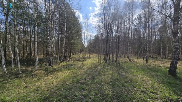 dom wolnostojący, 2 pokoje Ruda Maleniecka. Zdjęcie 12