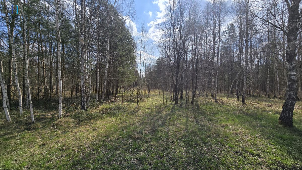 dom wolnostojący, 2 pokoje Ruda Maleniecka. Zdjęcie 12