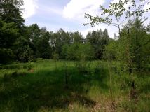 Działka budowlana Stare Budy Radziejowskie. Zdjęcie 4