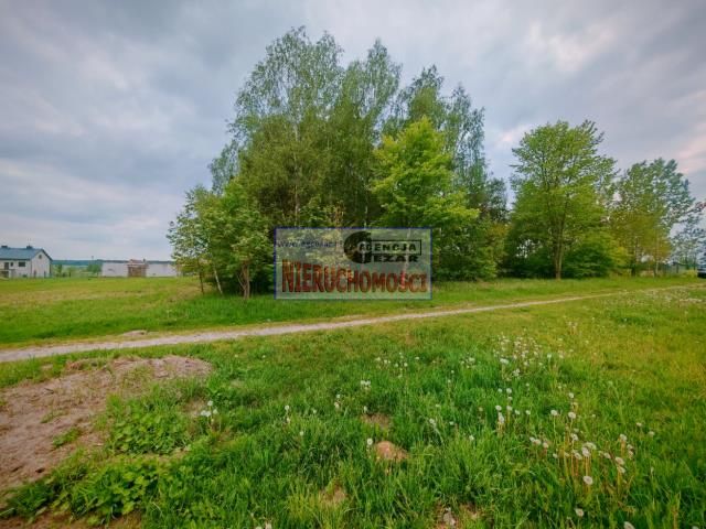 Działka rolno-budowlana Dłużew. Zdjęcie 8