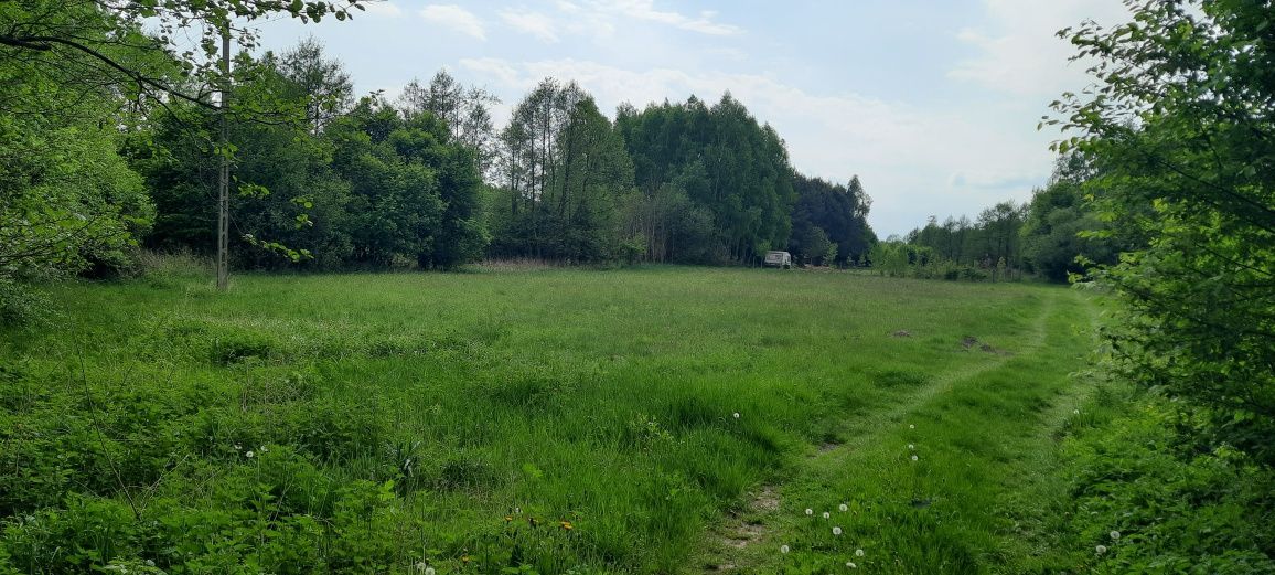 Działka rekreacyjna Rembieszów. Zdjęcie 7