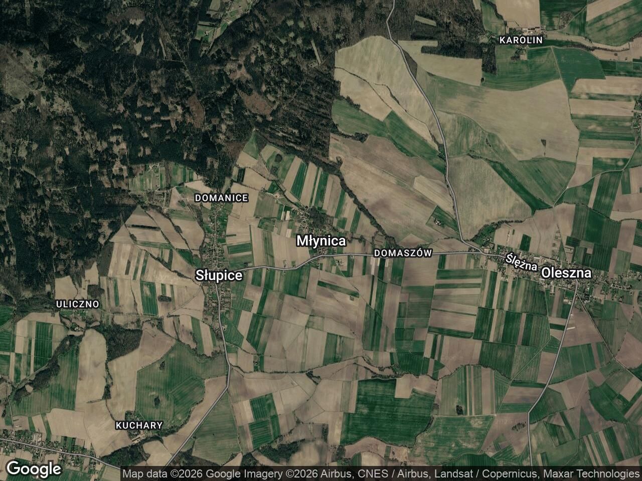 Działka rolno-budowlana Młynica. Zdjęcie 1