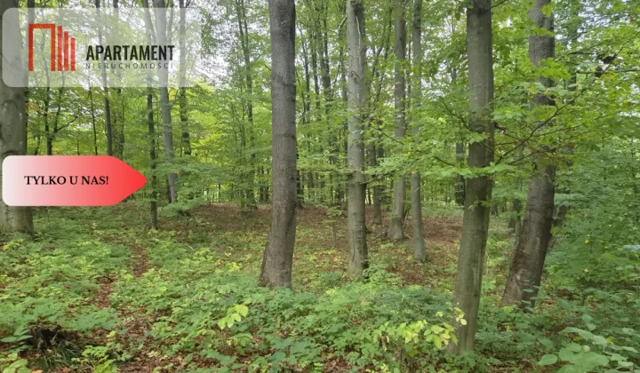 Działka siedliskowa Słowienkowo