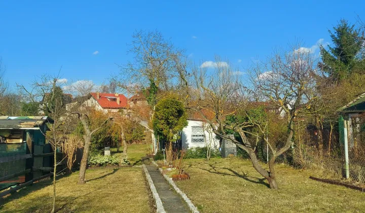 Działka rod Szczecin Gumieńce, ul. Ku Słońcu