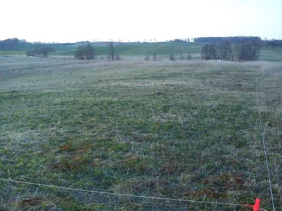 Działka rolna Wilkiejmy. Zdjęcie 3