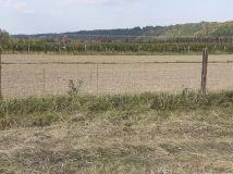 Działka rolno-budowlana Parchatka. Zdjęcie 2