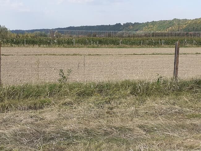 Działka rolno-budowlana Parchatka. Zdjęcie 3