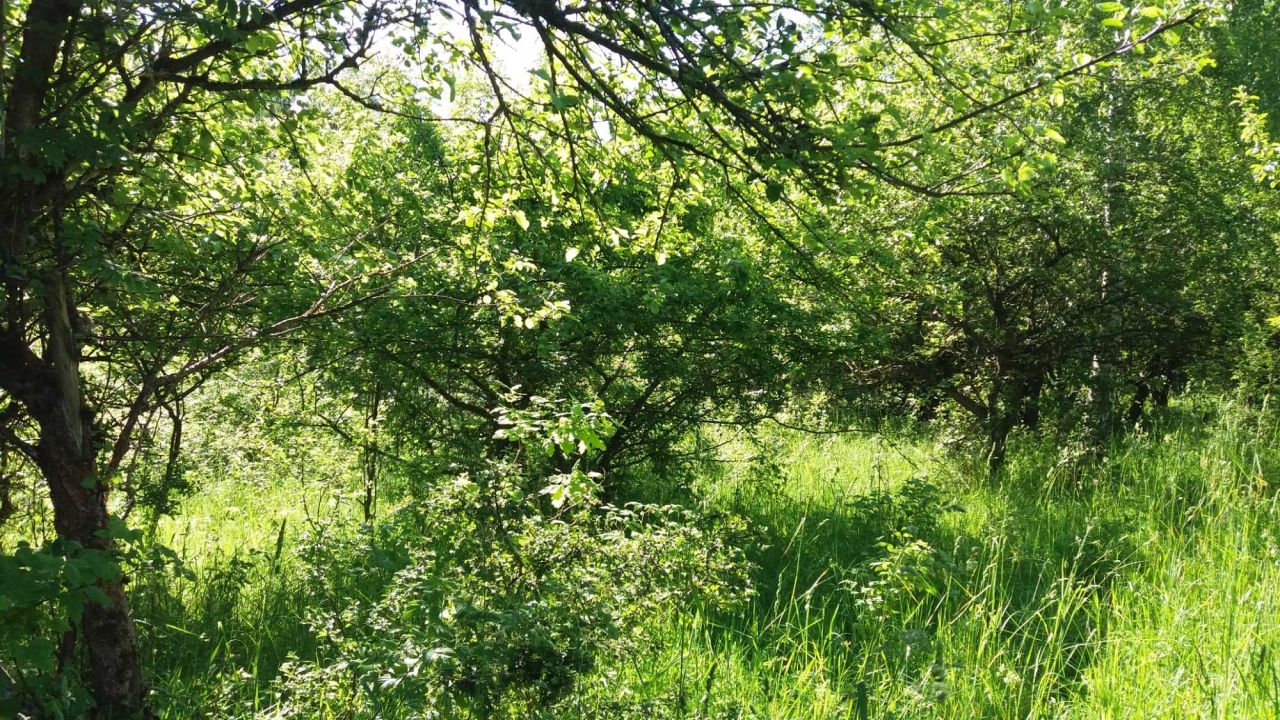 Działka budowlana Spręcowo. Zdjęcie 2