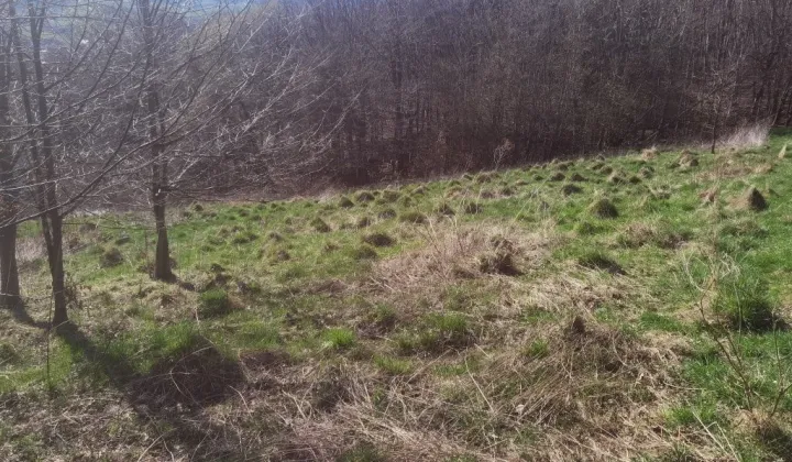 Działka rolna Nowy Sącz