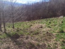 Działka rolna Nowy Sącz