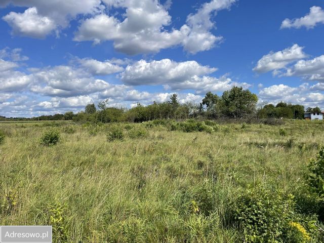 Działka budowlana Mirosławice. Zdjęcie 1