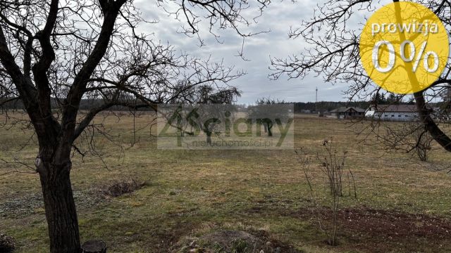 Działka rolna Chudolipie. Zdjęcie 5