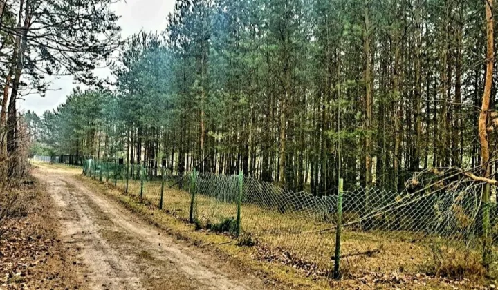 Działka budowlana Złotniki Kazimierzew