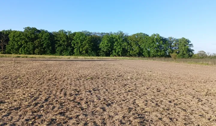 Działka budowlana Przecław, ul. Leśna