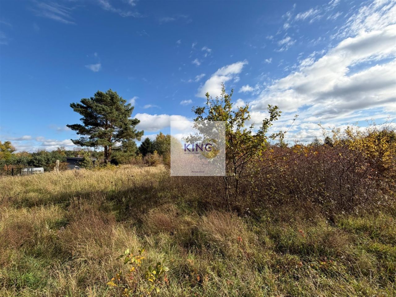 Działka siedliskowa Żórawie Szczawno. Zdjęcie 6