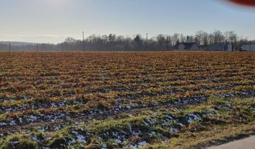 Działka budowlana Pisarzowice, ul. Skotnica