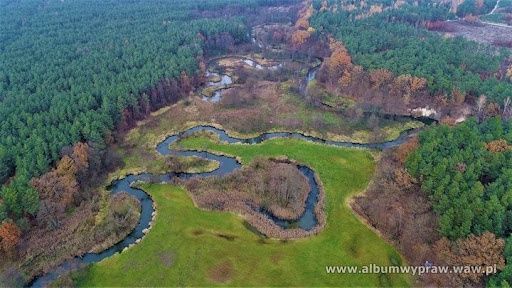 Działka budowlana Bolimów. Zdjęcie 2