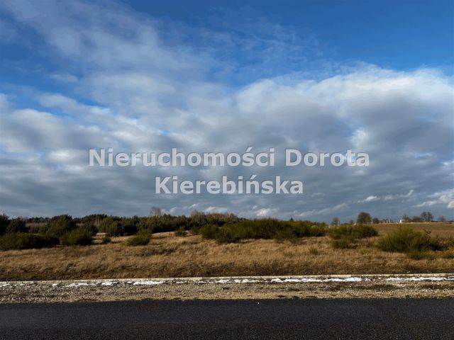 Działka Brzustów. Zdjęcie 8