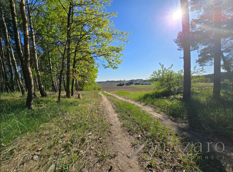 Działka rolna Józefinka. Zdjęcie 3