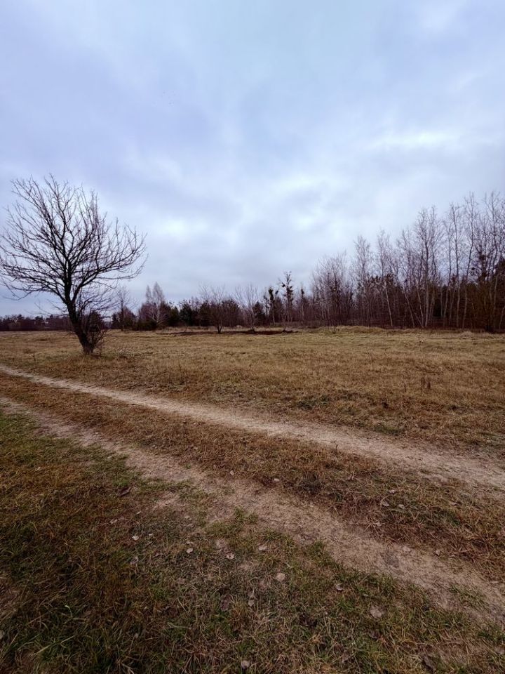 Działka inwestycyjna Orchówek. Zdjęcie 3