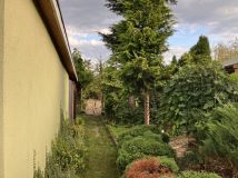 Działka rod Głowno. Zdjęcie 3