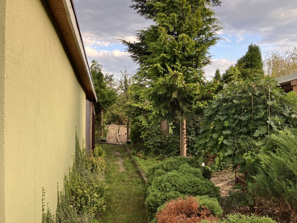 Działka rod Głowno. Zdjęcie 4