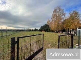 Działka budowlana Jadwinin. Zdjęcie 1