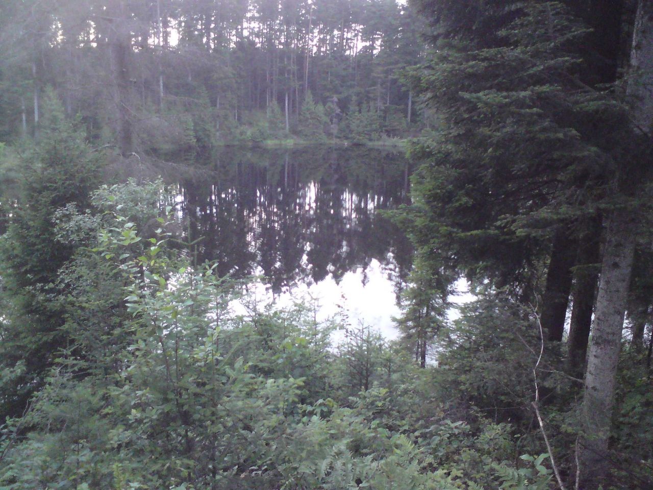 Działka rekreacyjna Górecko Kościelne. Zdjęcie 4