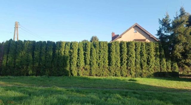 dom wolnostojący, 4 pokoje Dobroszyce. Zdjęcie 2